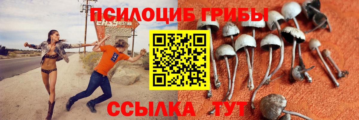 Псилоцибиновые грибы прущие грибы  Вход с VPN  Маркс 